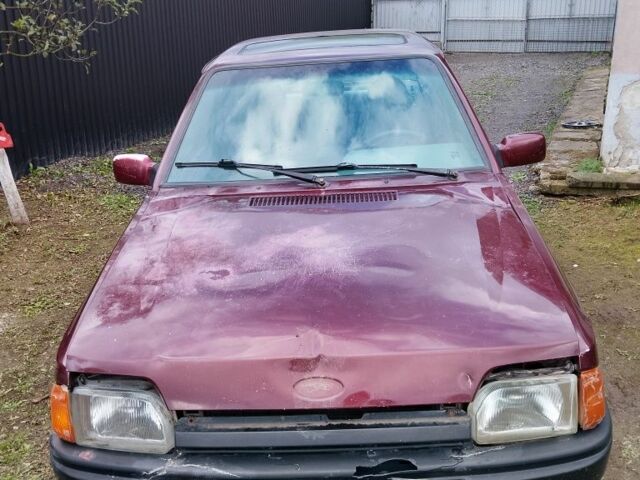 Красный Форд Орион, объемом двигателя 2 л и пробегом 300 тыс. км за 600 $, фото 1 на Automoto.ua