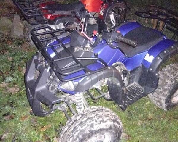 Синий Форте ATV 125, объемом двигателя 0.12 л и пробегом 25 тыс. км за 700 $, фото 1 на Automoto.ua