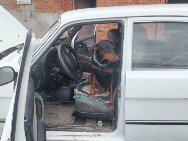 Белый ГАЗ 3110 Волга, объемом двигателя 2.3 л и пробегом 234 тыс. км за 1300 $, фото 1 на Automoto.ua