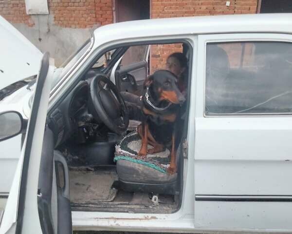 Білий ГАЗ 3110 Волга, об'ємом двигуна 2.3 л та пробігом 234 тис. км за 1300 $, фото 1 на Automoto.ua