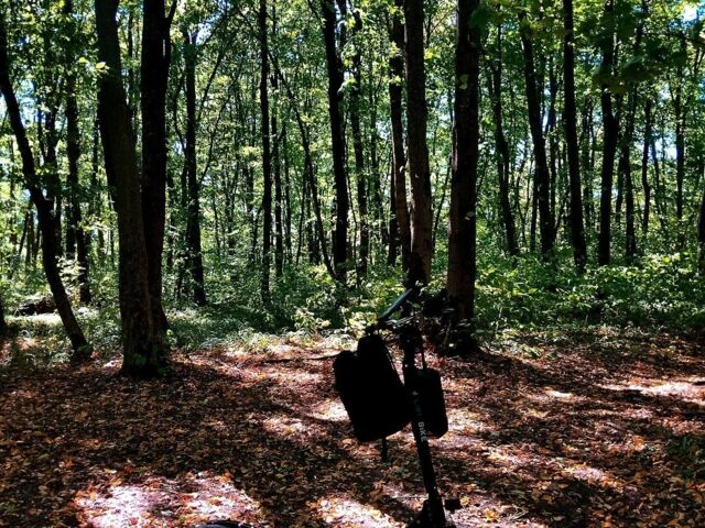 ГАЗ 3110 Волга, объемом двигателя 2.45 л и пробегом 0 тыс. км за 168 $, фото 1 на Automoto.ua