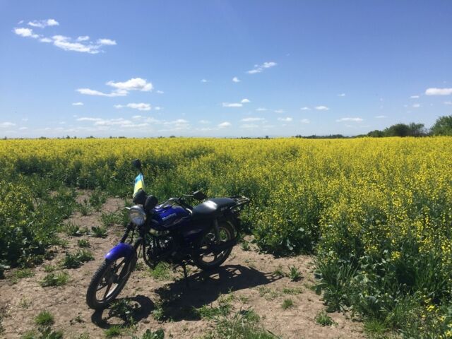 ГАЗ 6601 2017 в Стрые на Automoto.ua ГАЗ 6601, объемом двигателя 0.13 л и пробегом 0 тыс. км за 425 $, фото 1 на Automoto.ua