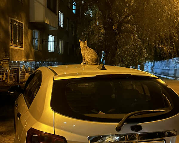 Сірий Джилі Емгранд 7 (EC7), об'ємом двигуна 1.5 л та пробігом 150 тис. км за 3200 $, фото 1 на Automoto.ua