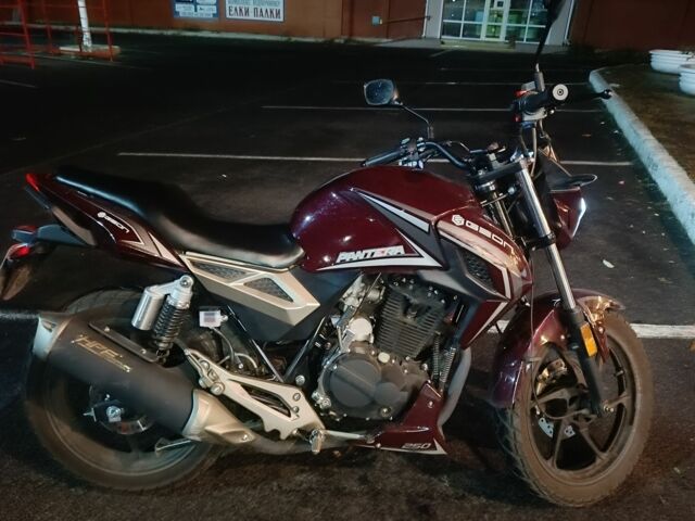 Геон Пантера, об'ємом двигуна 0.25 л та пробігом 0 тис. км за 1100 $, фото 1 на Automoto.ua