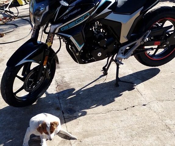 Геон Другая, объемом двигателя 0.25 л и пробегом 0 тыс. км за 955 $, фото 1 на Automoto.ua