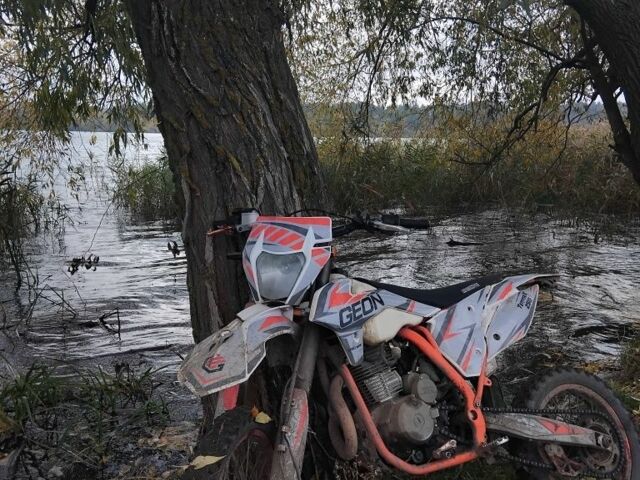 Геон Інша, об'ємом двигуна 0.25 л та пробігом 0 тис. км за 780 $, фото 1 на Automoto.ua