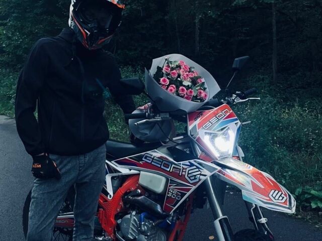 Геон Інша, об'ємом двигуна 0.3 л та пробігом 0 тис. км за 2900 $, фото 1 на Automoto.ua