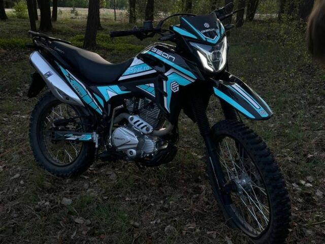 Геон Інша, об'ємом двигуна 0.25 л та пробігом 0 тис. км за 1100 $, фото 1 на Automoto.ua