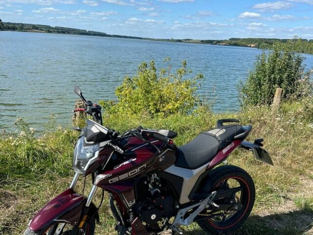 Геон Інша, об'ємом двигуна 0.25 л та пробігом 0 тис. км за 45000 $, фото 1 на Automoto.ua