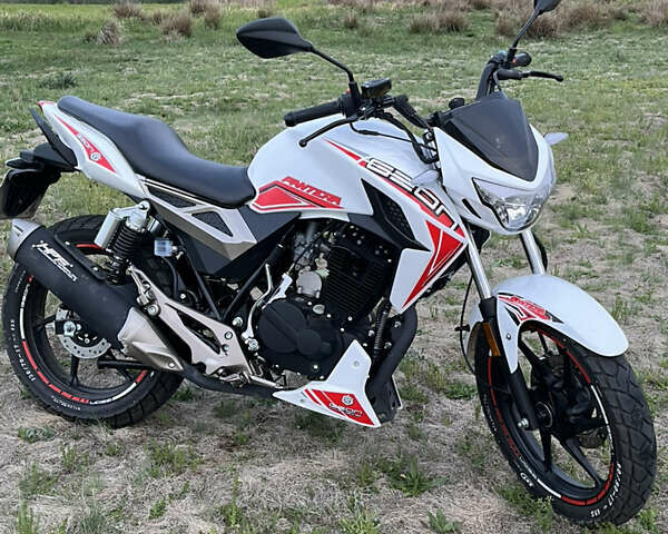 Білий Геон Pantera 250, об'ємом двигуна 0.25 л та пробігом 650 тис. км за 1400 $, фото 1 на Automoto.ua