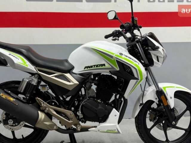 Геон Pantera 250, объемом двигателя 0.25 л и пробегом 0 тыс. км за 1569 $, фото 1 на Automoto.ua