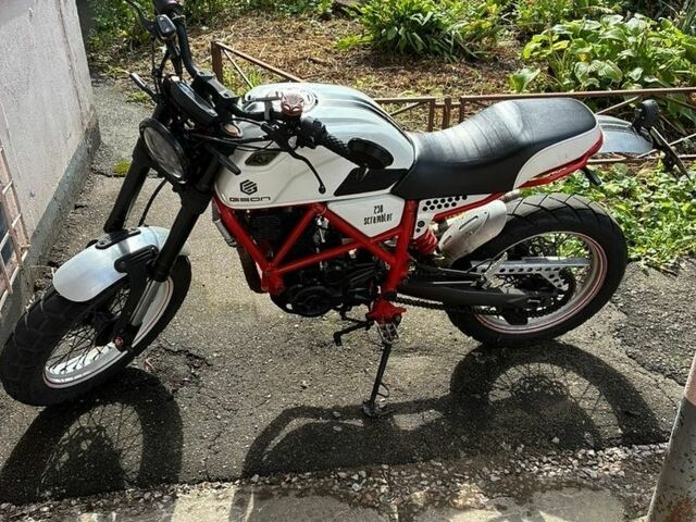 Белый Геон Scrambler 250, объемом двигателя 0.25 л и пробегом 16 тыс. км за 1200 $, фото 1 на Automoto.ua
