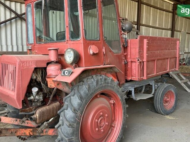ХТЗ Т-16, об'ємом двигуна 2.08 л та пробігом 0 тис. км за 1984 $, фото 1 на Automoto.ua