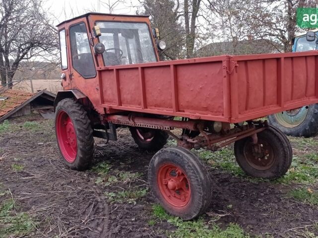 ХТЗ Т-16, объемом двигателя 0 л и пробегом 333 тыс. км за 2150 $, фото 1 на Automoto.ua