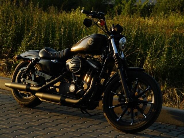 Харлей-Девідсон Інша, об'ємом двигуна 0.88 л та пробігом 0 тис. км за 9500 $, фото 1 на Automoto.ua