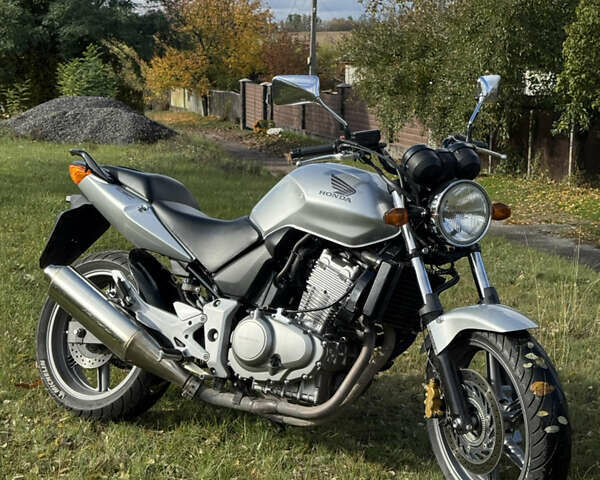 Серый Хонда CBF 500, объемом двигателя 0.5 л и пробегом 28 тыс. км за 3850 $, фото 1 на Automoto.ua