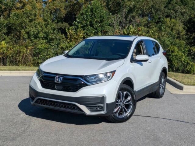 Белый Хонда СРВ, объемом двигателя 1.5 л и пробегом 26 тыс. км за 9300 $, фото 1 на Automoto.ua