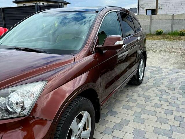 Хонда СРВ 2011 в Днепре (Днепропетровске) на Automoto.ua Коричневый Хонда СРВ, объемом двигателя 2.2 л и пробегом 165 тыс. км за 13500 $, фото 1 на Automoto.ua