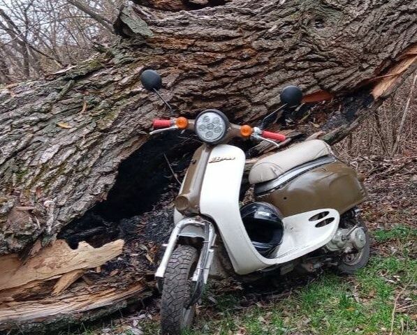 Хонда Інша, об'ємом двигуна 50 л та пробігом 0 тис. км за 166 $, фото 1 на Automoto.ua