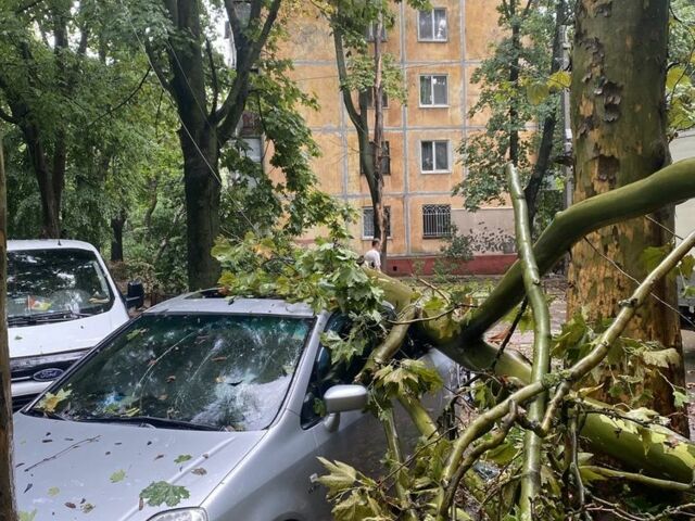 Серый Хонда Стрим, объемом двигателя 2 л и пробегом 250 тыс. км за 1498 $, фото 1 на Automoto.ua