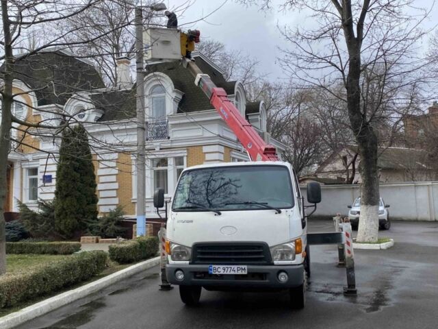 Белый Хендай НД 65, объемом двигателя 3.9 л и пробегом 300 тыс. км за 26000 $, фото 1 на Automoto.ua