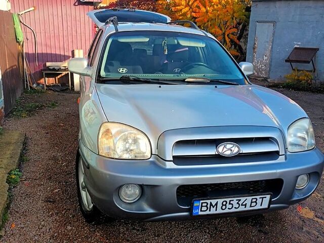 Сірий Хендай Санта Фе, об'ємом двигуна 2.4 л та пробігом 234 тис. км за 5700 $, фото 1 на Automoto.ua