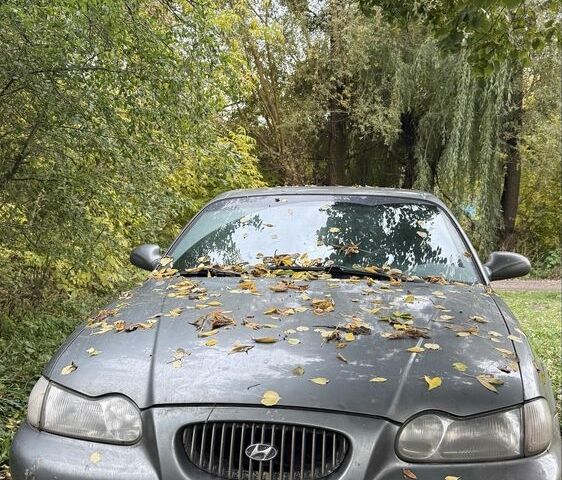 Хендай Соната 1997 у Фастове на Automoto.ua Сірий Хендай Соната, об'ємом двигуна 2 л та пробігом 335 тис. км за 1800 $, фото 1 на Automoto.ua
