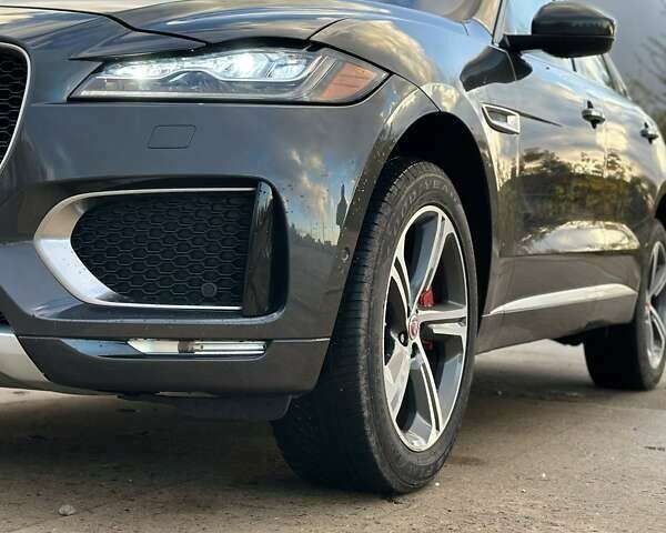 Ягуар Ф-Пейс 2018 у Южноукраинске на Automoto.ua Сірий Ягуар Ф-Пейс, об'ємом двигуна 3 л та пробігом 107 тис. км за 39500 $, фото 1 на Automoto.ua