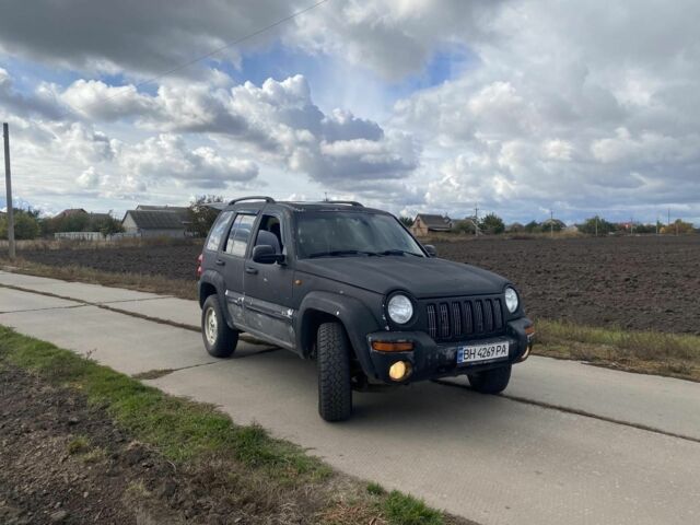Джип Чероки 2002 в Золотоноше на Automoto.ua Серый Джип Чероки, объемом двигателя 2.5 л и пробегом 220 тыс. км за 3700 $, фото 1 на Automoto.ua