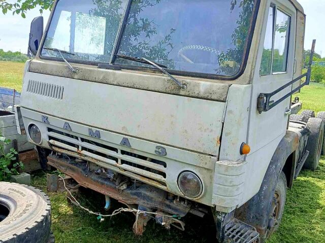 Серый КамАЗ 4310, объемом двигателя 3 л и пробегом 0 тыс. км за 3000 $, фото 1 на Automoto.ua