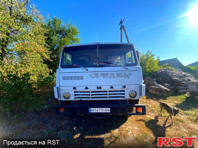Сірий КамАЗ 5511, об'ємом двигуна 10.9 л та пробігом 0 тис. км за 8000 $, фото 1 на Automoto.ua