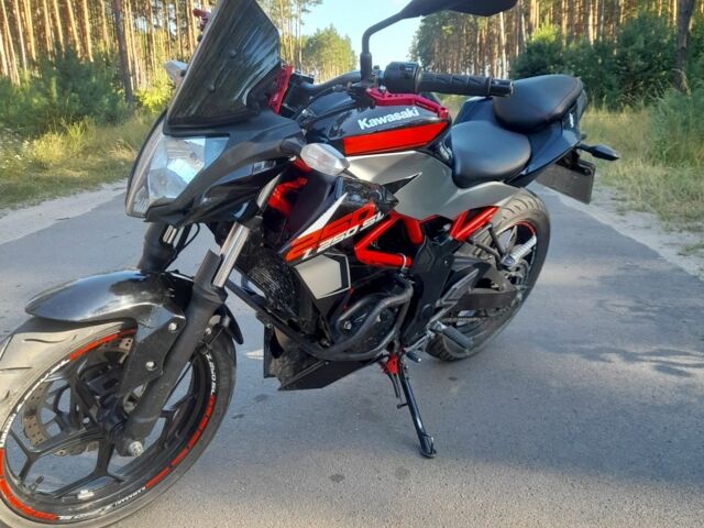 Кавасакі Інша, об'ємом двигуна 0.25 л та пробігом 0 тис. км за 2420 $, фото 1 на Automoto.ua