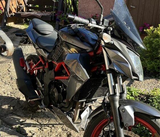 Кавасакі Інша, об'ємом двигуна 0.25 л та пробігом 0 тис. км за 2850 $, фото 1 на Automoto.ua