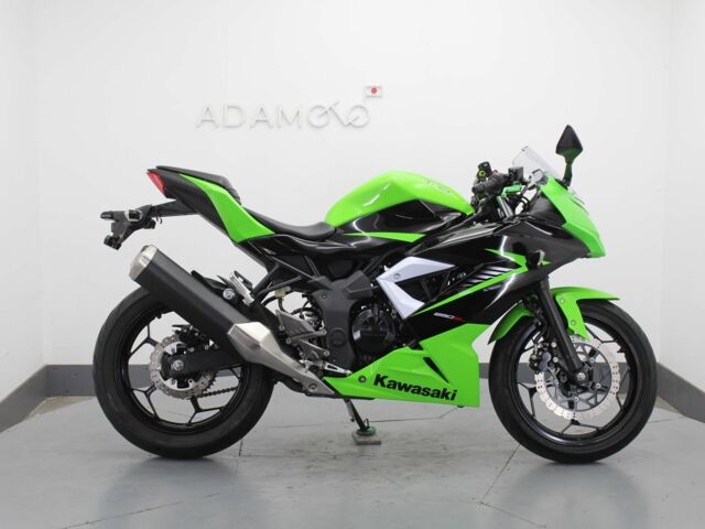 Кавасаки Другая, объемом двигателя 0.25 л и пробегом 0 тыс. км за 2800 $, фото 1 на Automoto.ua