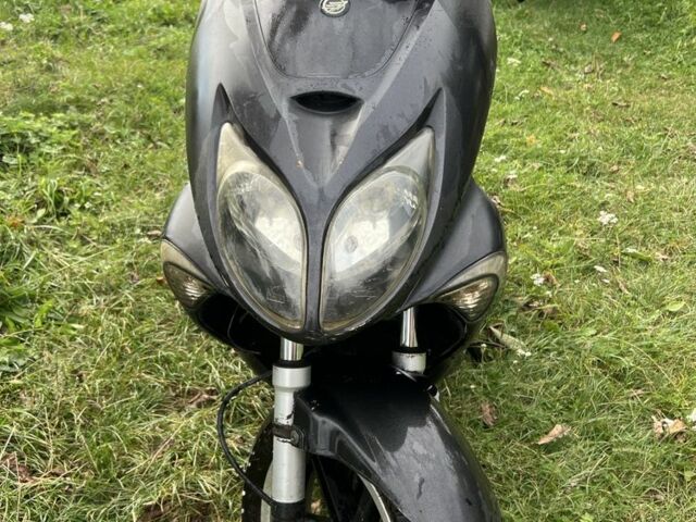 Ківей Арн, об'ємом двигуна 0.15 л та пробігом 0 тис. км за 131 $, фото 1 на Automoto.ua