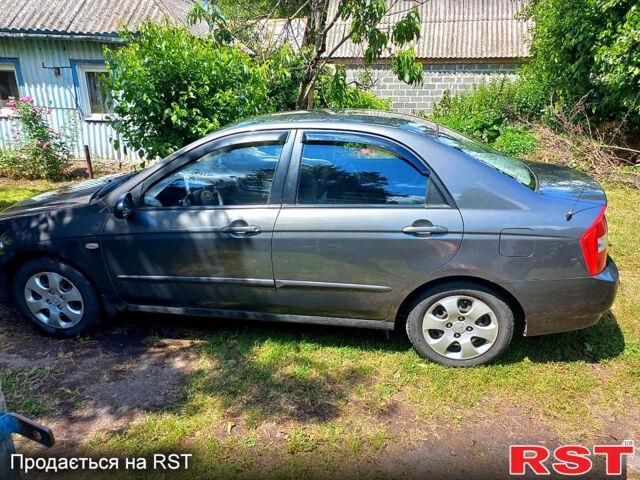 Серый Киа Черато, объемом двигателя 1.6 л и пробегом 300 тыс. км за 3900 $, фото 1 на Automoto.ua