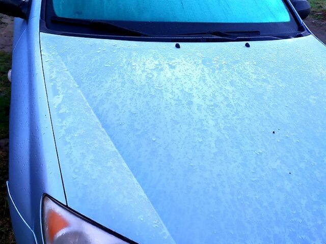 Синий Киа Черато, объемом двигателя 1.6 л и пробегом 320 тыс. км за 3700 $, фото 1 на Automoto.ua