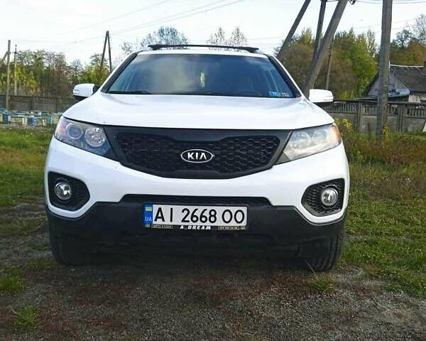 Кіа Соренто 2012 у Белой Церкве на Automoto.ua Білий Кіа Соренто, об'ємом двигуна 2.4 л та пробігом 173 тис. км за 12500 $, фото 1 на Automoto.ua