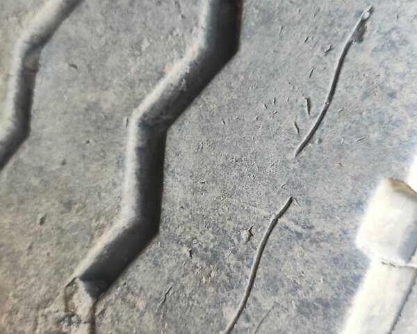 Черный Когель S 24, объемом двигателя 0 л и пробегом 1 тыс. км за 8500 $, фото 1 на Automoto.ua