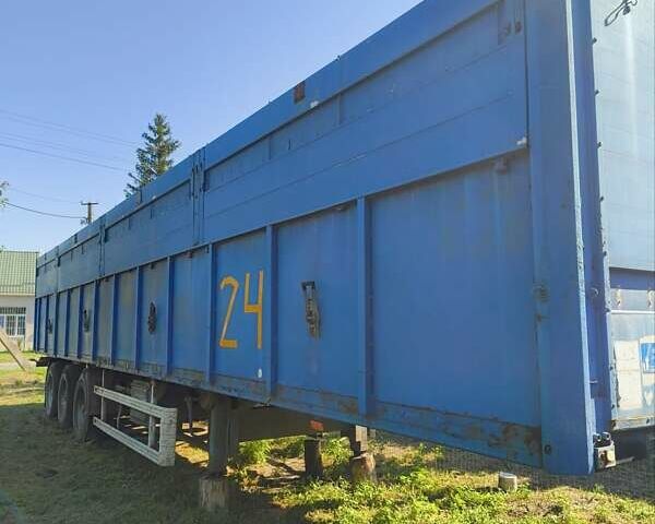 Синій Когель SN 24, об'ємом двигуна 0 л та пробігом 100 тис. км за 3200 $, фото 1 на Automoto.ua