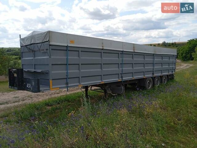 Серый Когель SNCO 24, объемом двигателя 0 л и пробегом 80 тыс. км за 8900 $, фото 1 на Automoto.ua