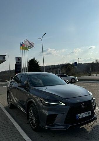 Серый Лексус РХ, объемом двигателя 2.49 л и пробегом 59 тыс. км за 60999 $, фото 1 на Automoto.ua
