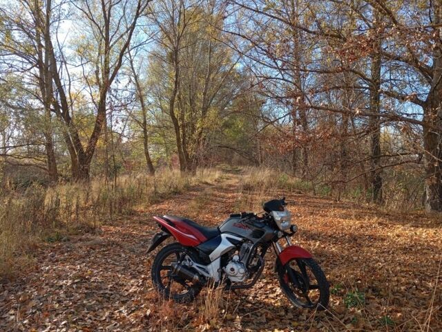 Лифан Другая, объемом двигателя 0.2 л и пробегом 0 тыс. км за 522 $, фото 1 на Automoto.ua