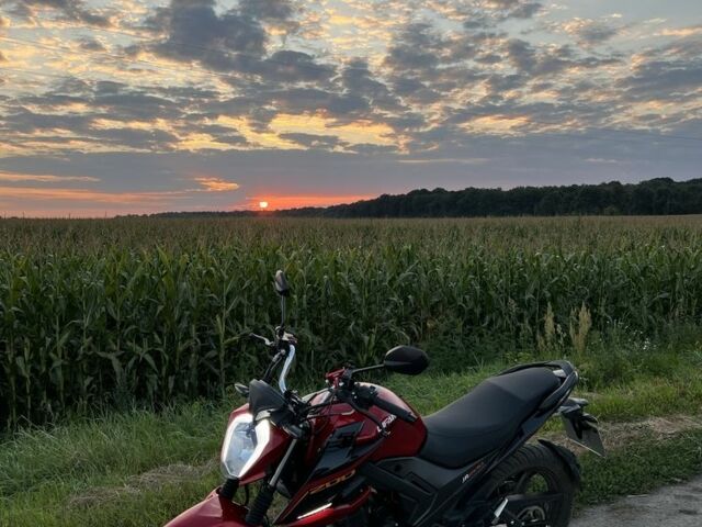 Лифан Другая, объемом двигателя 0.2 л и пробегом 0 тыс. км за 1239 $, фото 1 на Automoto.ua