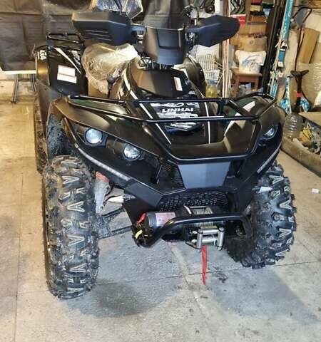 Чорний Лінхай ATV , об'ємом двигуна 0.35 л та пробігом 1 тис. км за 4750 $, фото 1 на Automoto.ua
