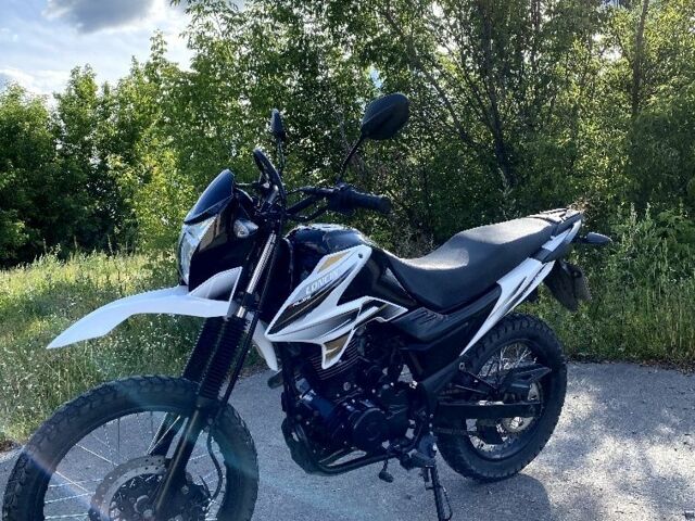 Лонкин 6510, объемом двигателя 0.2 л и пробегом 0 тыс. км за 1220 $, фото 1 на Automoto.ua