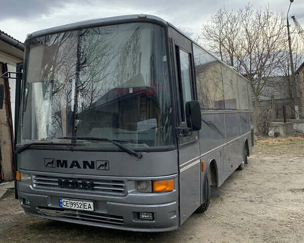 Серый МАН 11.180, объемом двигателя 6.9 л и пробегом 186 тыс. км за 7800 $, фото 1 на Automoto.ua