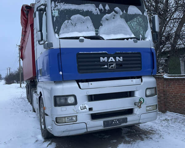 Серый МАН 18.540, объемом двигателя 0 л и пробегом 1 тыс. км за 22000 $, фото 1 на Automoto.ua