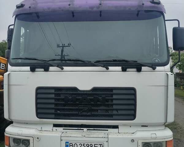 Білий МАН 19.314, об'ємом двигуна 11.96 л та пробігом 2 тис. км за 20000 $, фото 1 на Automoto.ua