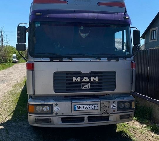 Сірий МАН 19.414, об'ємом двигуна 11.97 л та пробігом 190 тис. км за 10000 $, фото 1 на Automoto.ua